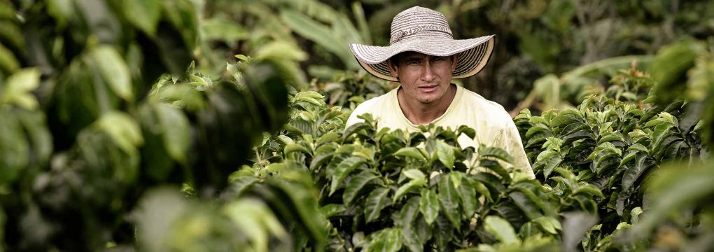 Safeguarding the Coffee Farmers’ Futures