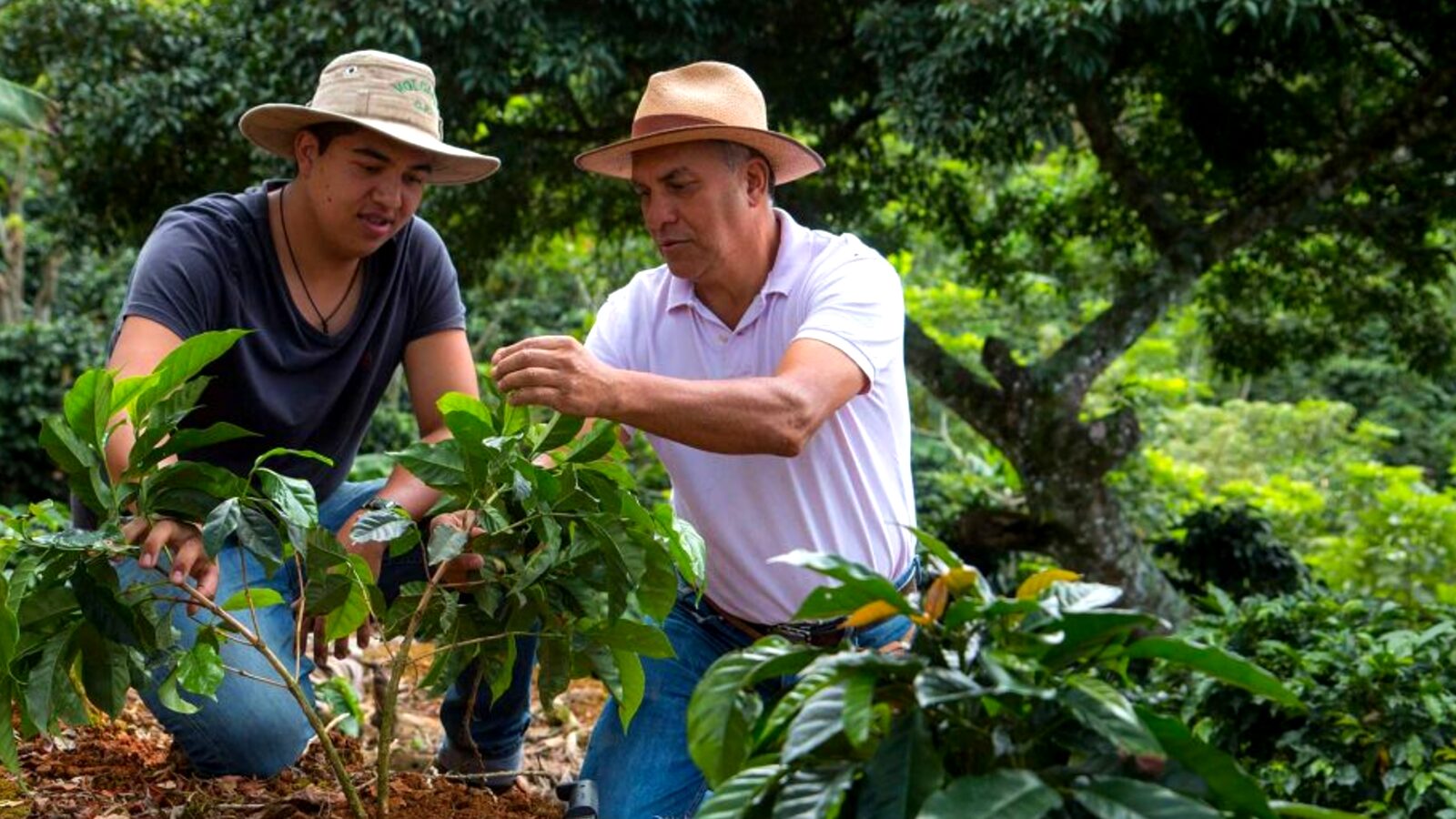 Sustainability Beyond Carbon Neutrality in Office Coffee