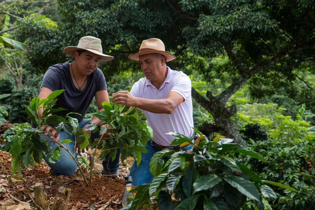 Coffee growing landscape connected to Nespresso Professional sustainability commitments